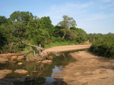 A creek running through the lowveld