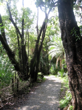 The pathway, Victoria Falls Rainforest
